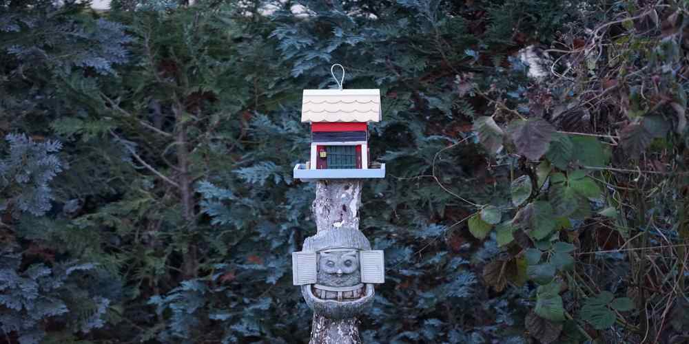 Does Birdfy Require a Subscription