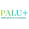 Paluplus IT
